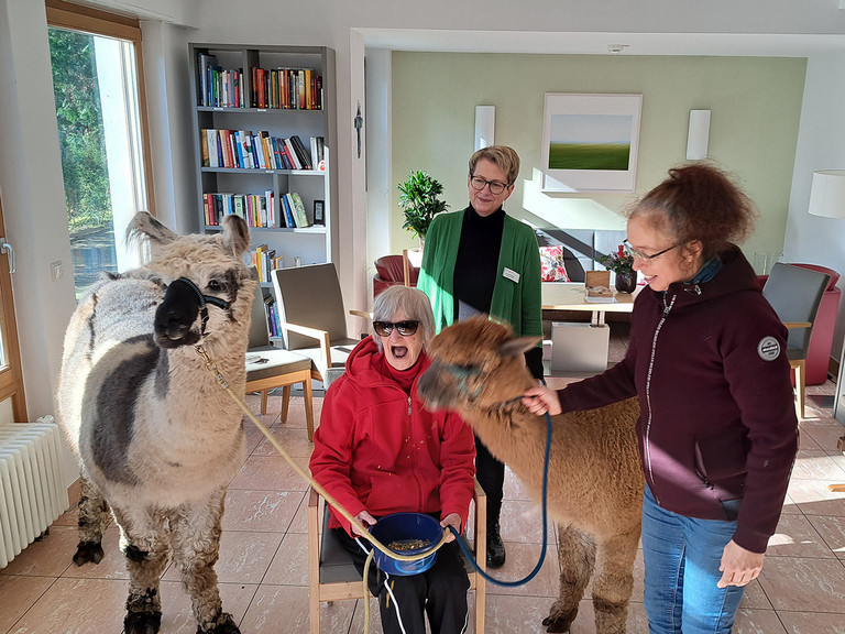 Diakonie Hospiz Wannsee - Nachricht -  Lama Fontano, Gästin Lieselotte Strempel, Pflegedienstleiterin Doreen Kossack, Alpaka Mandu und Olga Weinert vom Lama Zentrum (v.l.) im Wohnzimmer des Diakonie Hospiz Wannsee