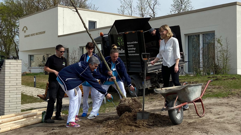 Mitarbeitende des Diakonie Hospiz Woltersdorf pflanzen einen der neuen Bäume, Nachrichten, Diakonie Hospiz Woltersdorf