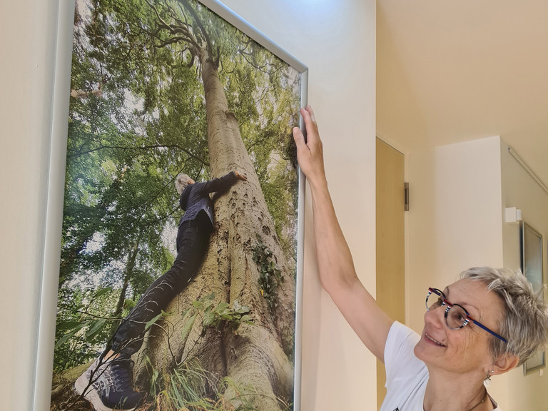 Frau hängt ein Bild im Flur des Diakonie Hospiz Wannsee auf