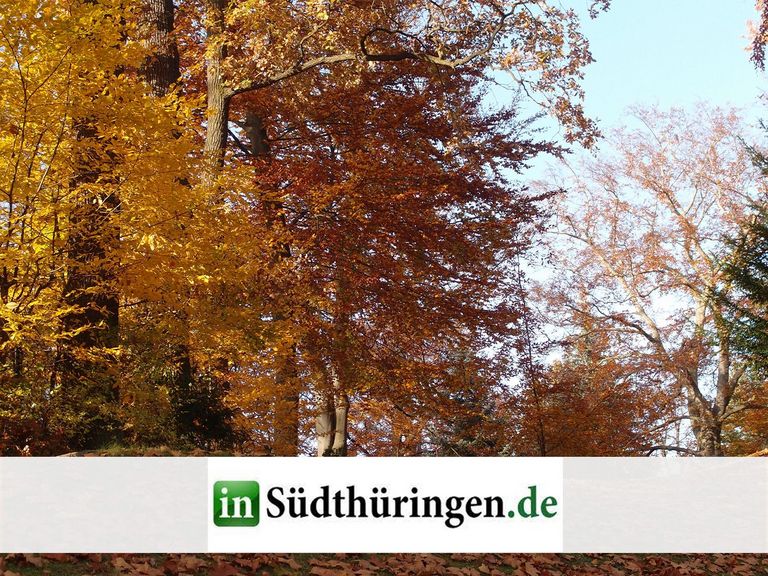Immanuel Suchtberatung Bad Salzungen - Nachricht - Lese-Tipp: "Präventionsarbeit in der Natur" - Südthüringer Zeitung - Wald