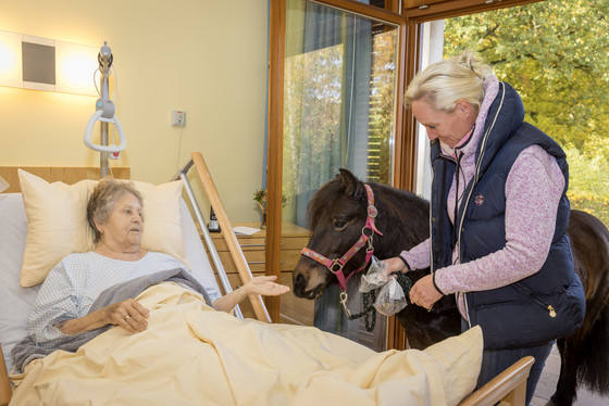 Hospizgast mit Besuchspony und Betreuerin am Bett im Diakonie Hospiz Volksdorf