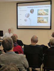 Chefarzt Dr. Peter Naatz gibt Einblicke in die Untere Extremität Chefarzt Dr. Peter Naatz gibt Einblicke in die Untere Extremität