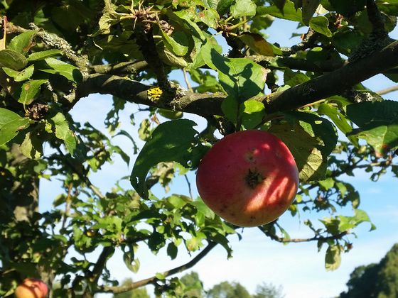 Immanuel Therapiezentrum Röthof - Nachricht - Gedanken zum Herbst Immanuel Therapiezentrum Röthof - Nachricht - Gedanken zum Herbst