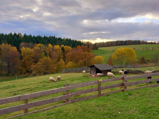Immanuel Therapiezentrum Röthof - Nachricht - Gedanken zum Herbst Immanuel Therapiezentrum Röthof - Nachricht - Gedanken zum Herbst
