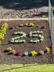 Ein Blumenbeet mit einer aus Blumen geformten Zahl 25 beim Festakt zum 25-jährigen Jubiläum des Immanuel Suchthilfeverbunds Guben mit besonderen Wohnformen für abhängigkeitskranke Menschen in Thüringen Ein Blumenbeet mit einer aus Blumen geformten Zahl 25 beim Festakt zum 25-jährigen Jubiläum des Immanuel Suchthilfeverbunds Guben mit besonderen Wohnformen für abhängigkeitskranke Menschen in Thüringen