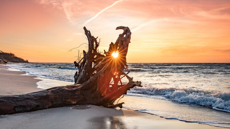 Sonnenuntergang am Strand von Langeoog mit Treibholz im Vordergrund und Wellen der Nordsee – stimmungsvolle Szenerie zu den Psychodynamischen Tagen Langeoog 2026.