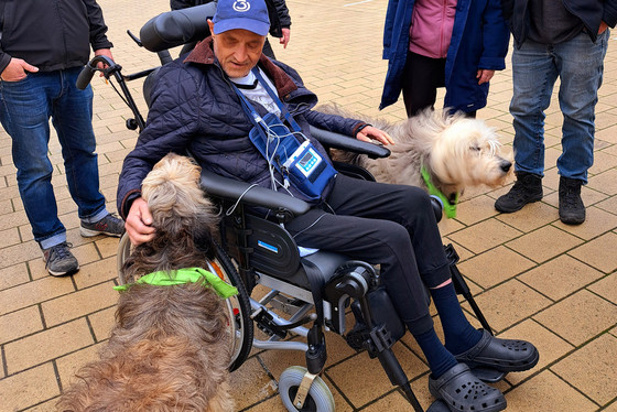 Ein freundiges Wiedersehen mit den Hunden Tom & Betty 