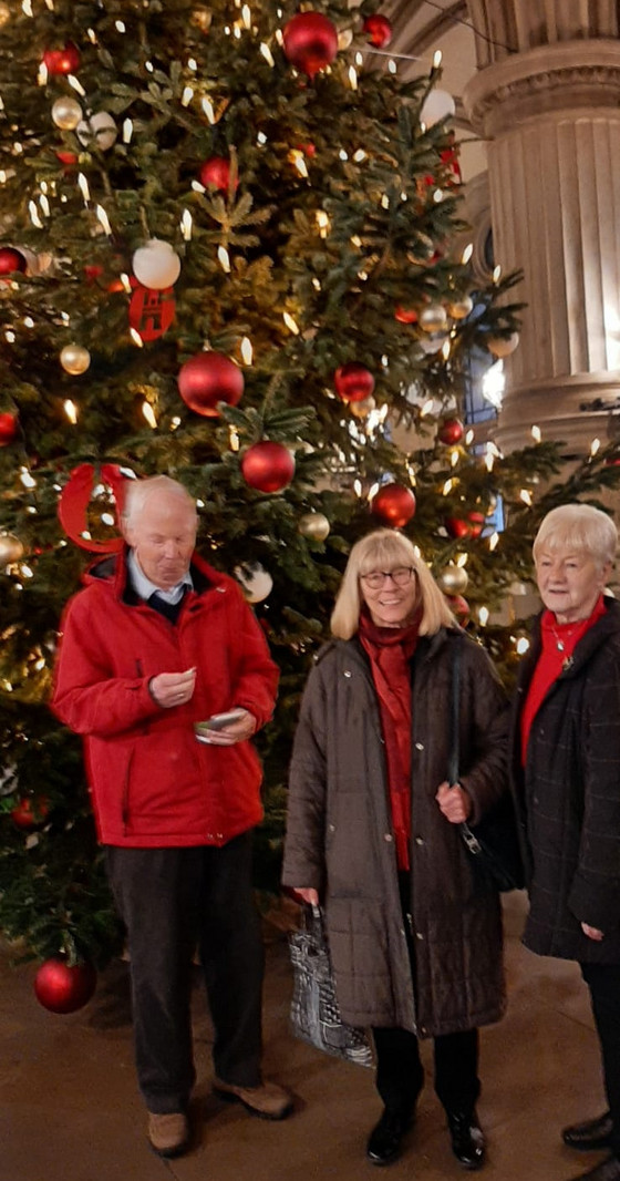 Drei ehrenamtlich tätige Menschen aus dem Albertinen Haus stehen vor dem großen Weihnachtsbaum im Hamburger Rathaus zum Senatsempfang für ehrenamtlich engagierte Menschen und blicken in die Kamera. Drei ehrenamtlich tätige Menschen aus dem Albertinen Haus stehen vor dem großen Weihnachtsbaum im Hamburger Rathaus zum Senatsempfang für ehrenamtlich engagierte Menschen und blicken in die Kamera.